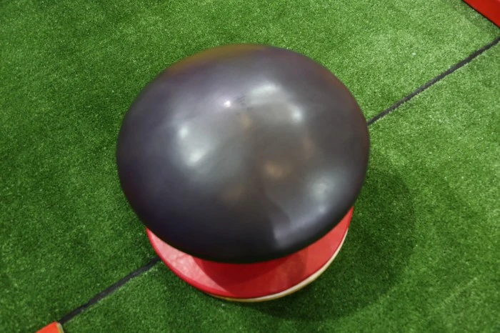 Mushroom Goat Jumping Saddle